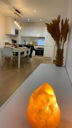 Nice and cosy flat near Geneva or Annecy Bellegarde-Sur-Valserine